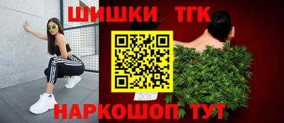 МДПВ Партизанск