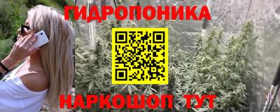 МДПВ Партизанск