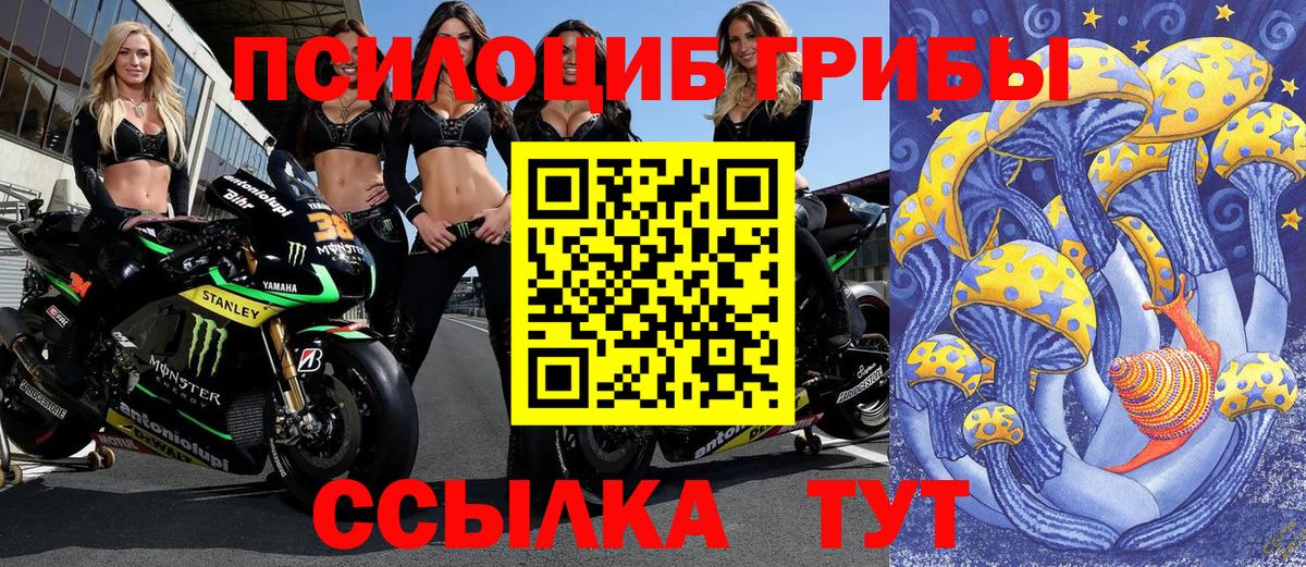 Псилоцибиновые грибы прущие грибы Тобольск